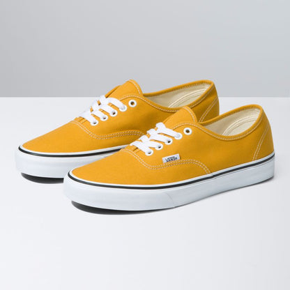 Color Theory Authentic